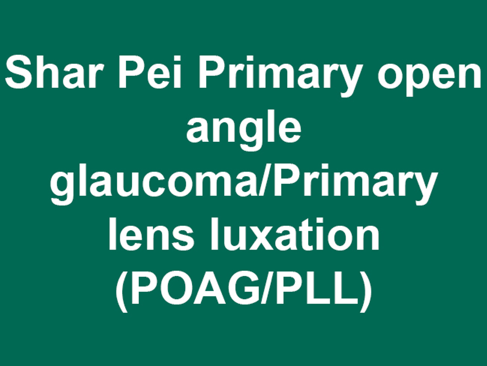 Umbraco.Cms.Infrastructure.PublishedCache.Property