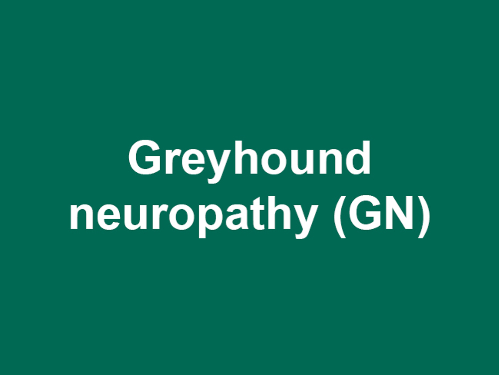 Umbraco.Cms.Infrastructure.PublishedCache.Property