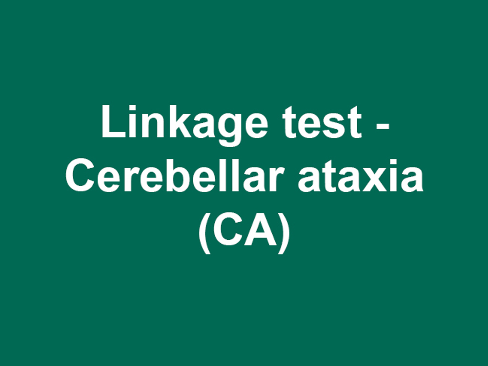 Umbraco.Cms.Infrastructure.PublishedCache.Property