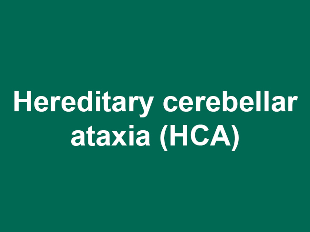 Umbraco.Cms.Infrastructure.PublishedCache.Property