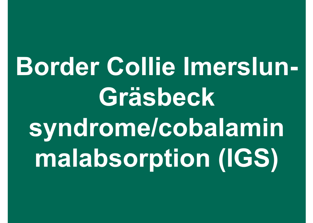 Umbraco.Cms.Infrastructure.PublishedCache.Property