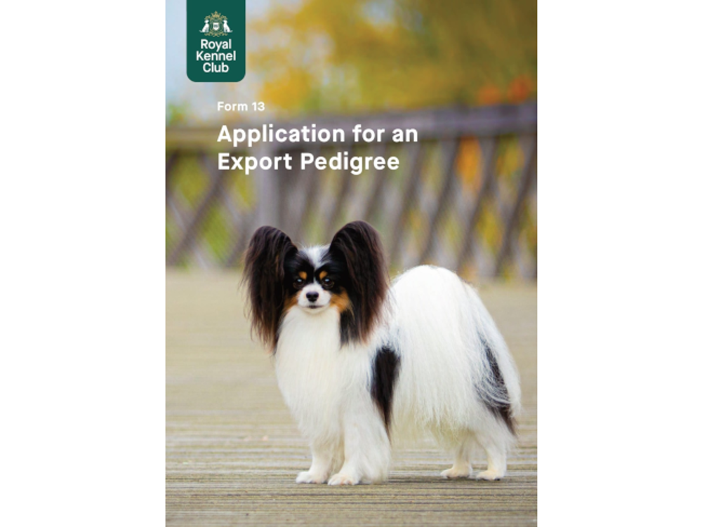 Umbraco.Cms.Infrastructure.PublishedCache.Property