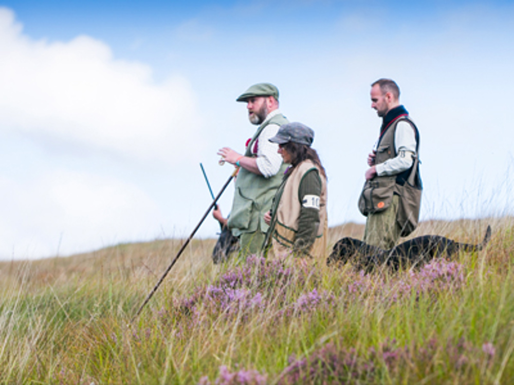People and dog walking through field