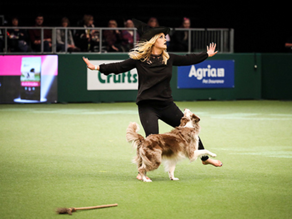 People stood up with the dog walking close to legs