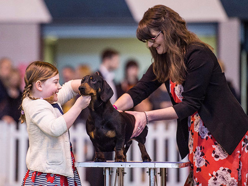 Little girl with her dog stood on the table and judge assessing