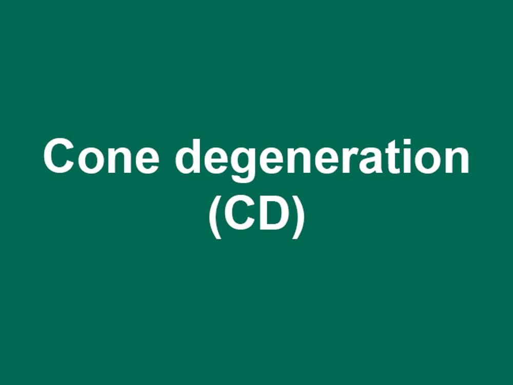 Umbraco.Cms.Infrastructure.PublishedCache.Property