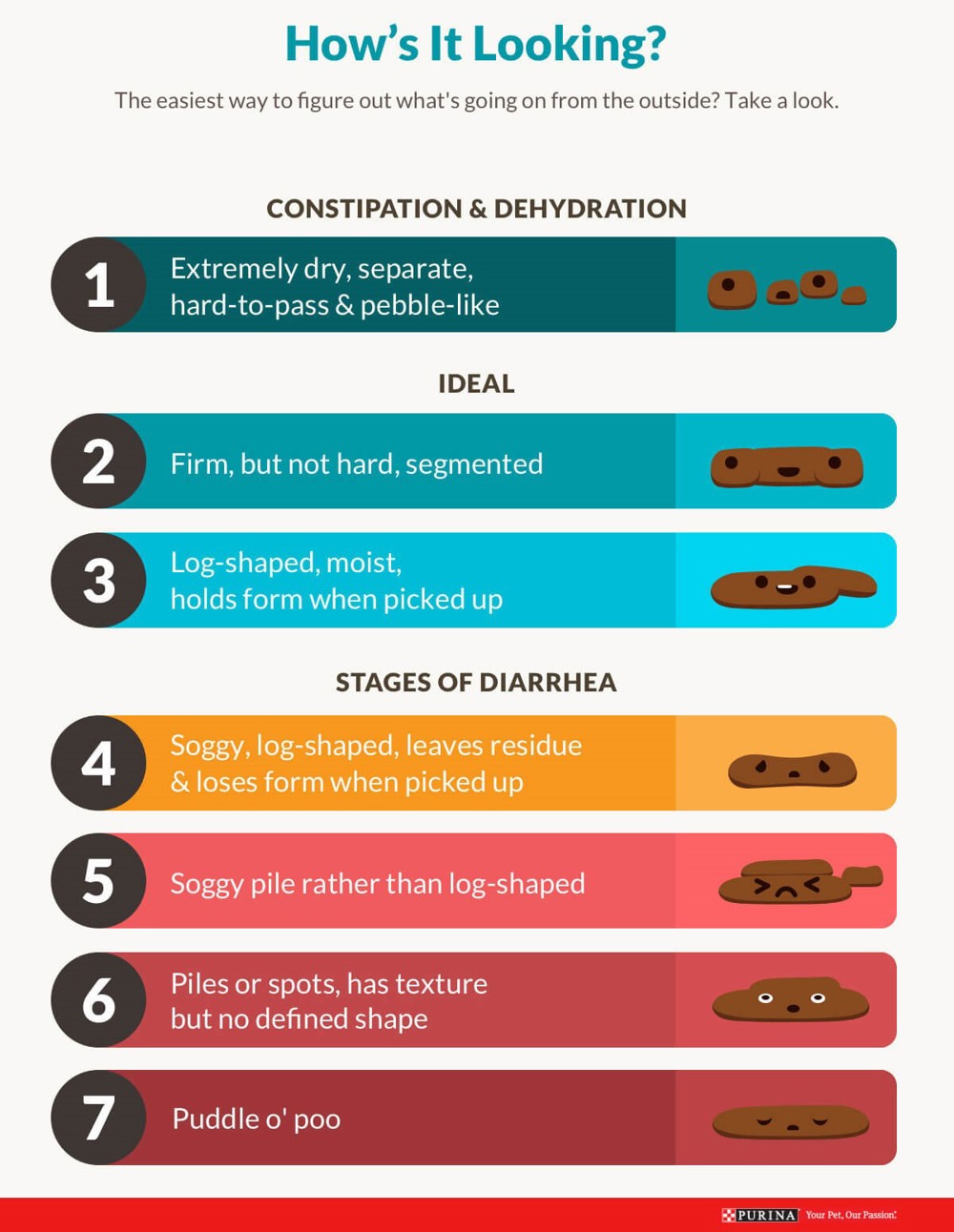 Puppy diarrhoea | Dog health | The Kennel Club