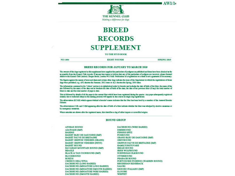 Umbraco.Cms.Infrastructure.PublishedCache.Property