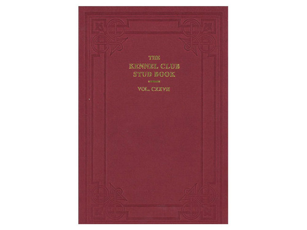 Umbraco.Cms.Infrastructure.PublishedCache.Property