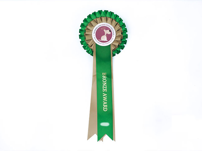 Bronze Award Rosette