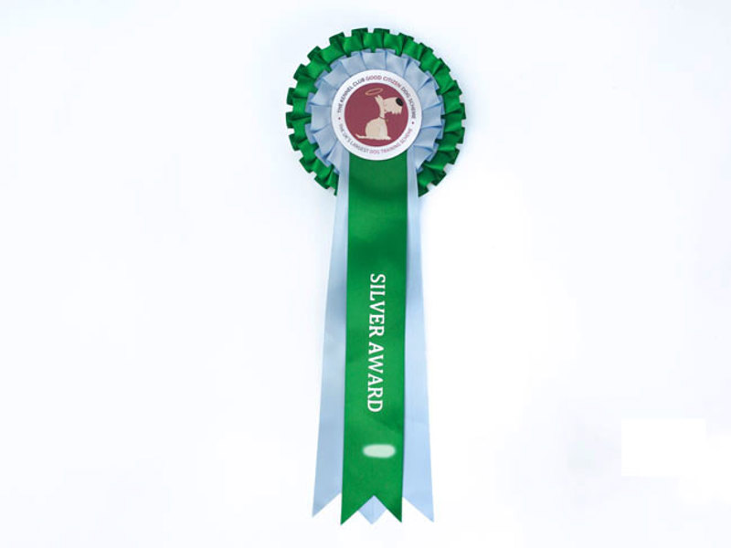 Silver Award Rosette