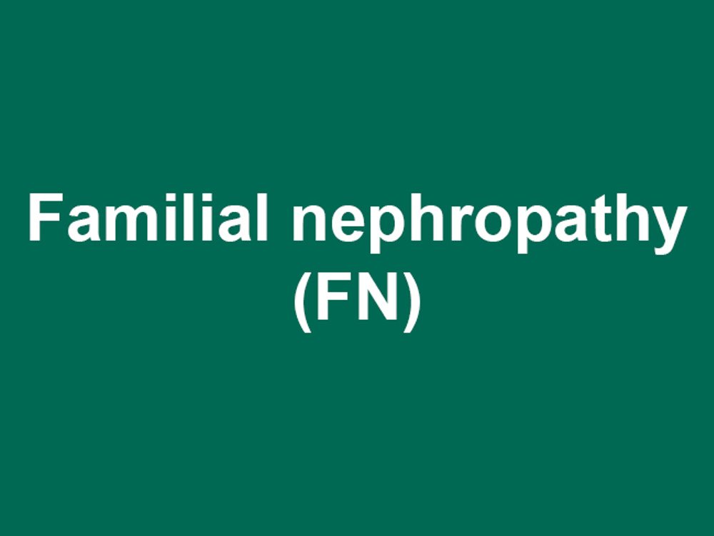 Umbraco.Cms.Infrastructure.PublishedCache.Property