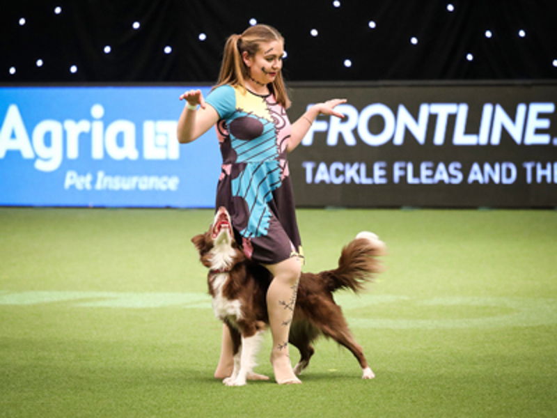 Dog dancing with owner