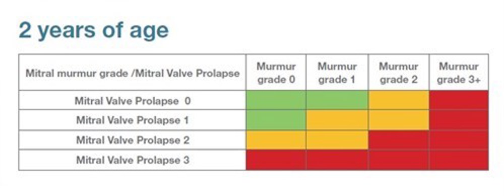 Heart Scheme - graph - 2 years of age