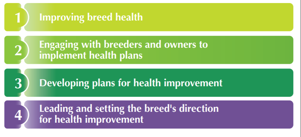 Breed health improvement strategy - diagram