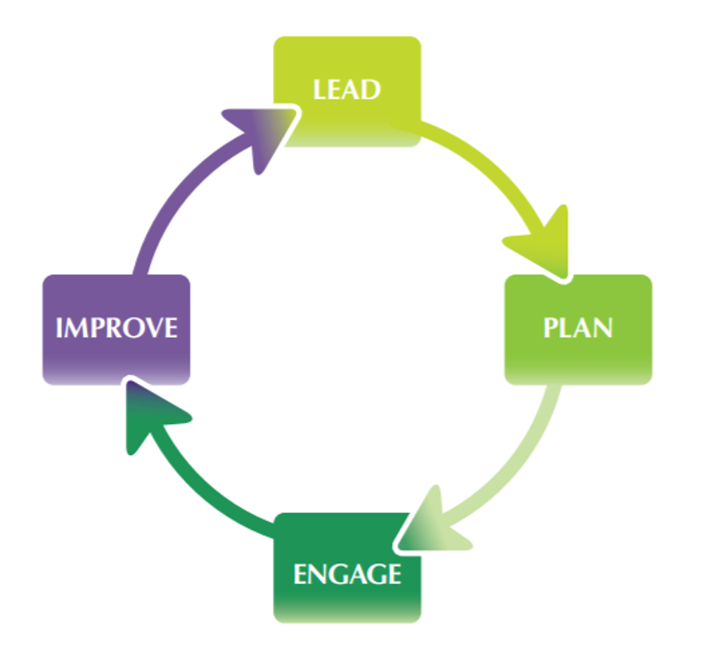 Breed health improvement strategy - flowchart