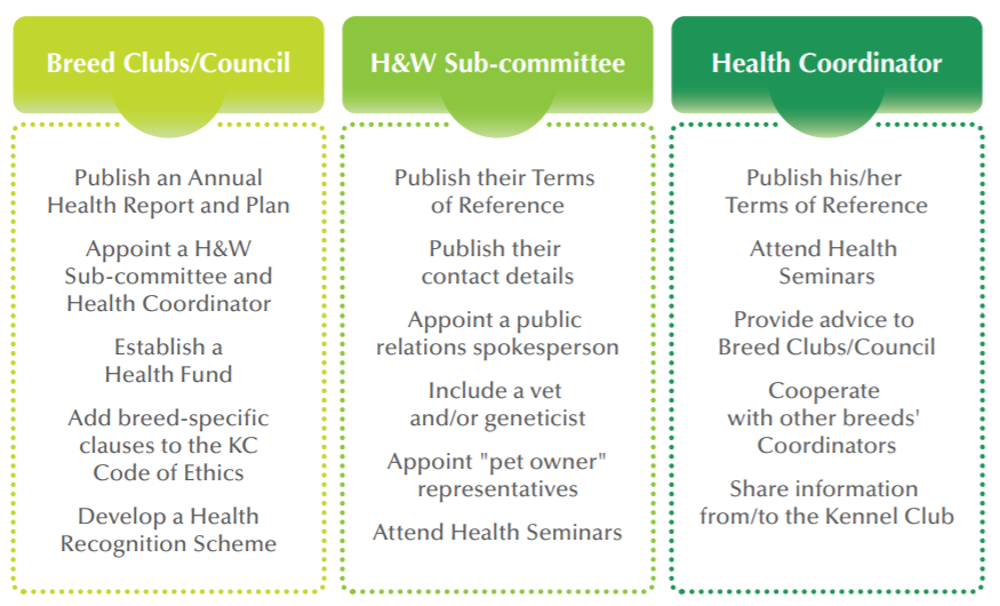 Breed health improvement strategy - diagram