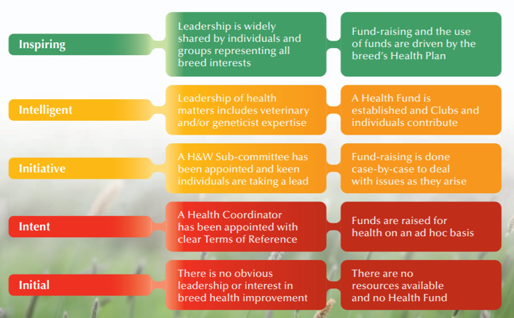 Breed health improvement strategy - diagram
