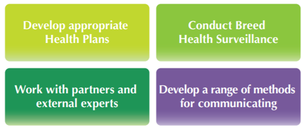 Breed health improvement strategy - diagram