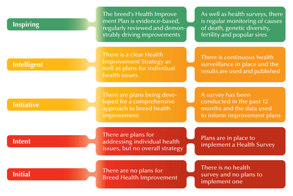 Breed health improvement strategy - diagram
