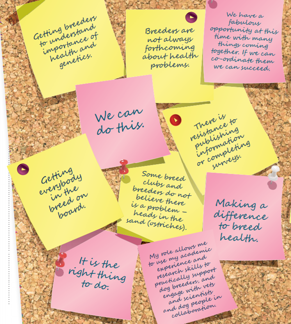 Word cloud of post-it notes