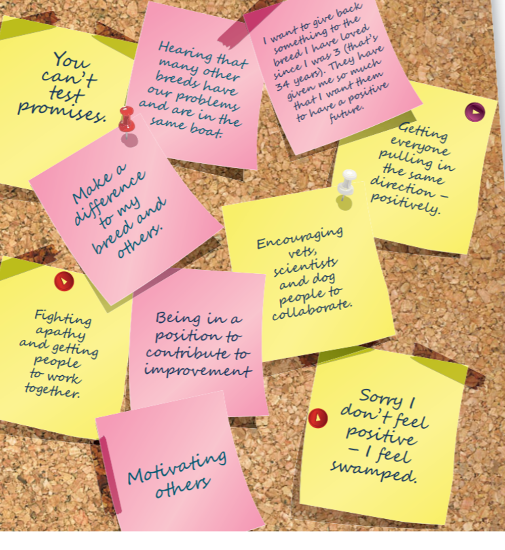 Word cloud of post-it notes