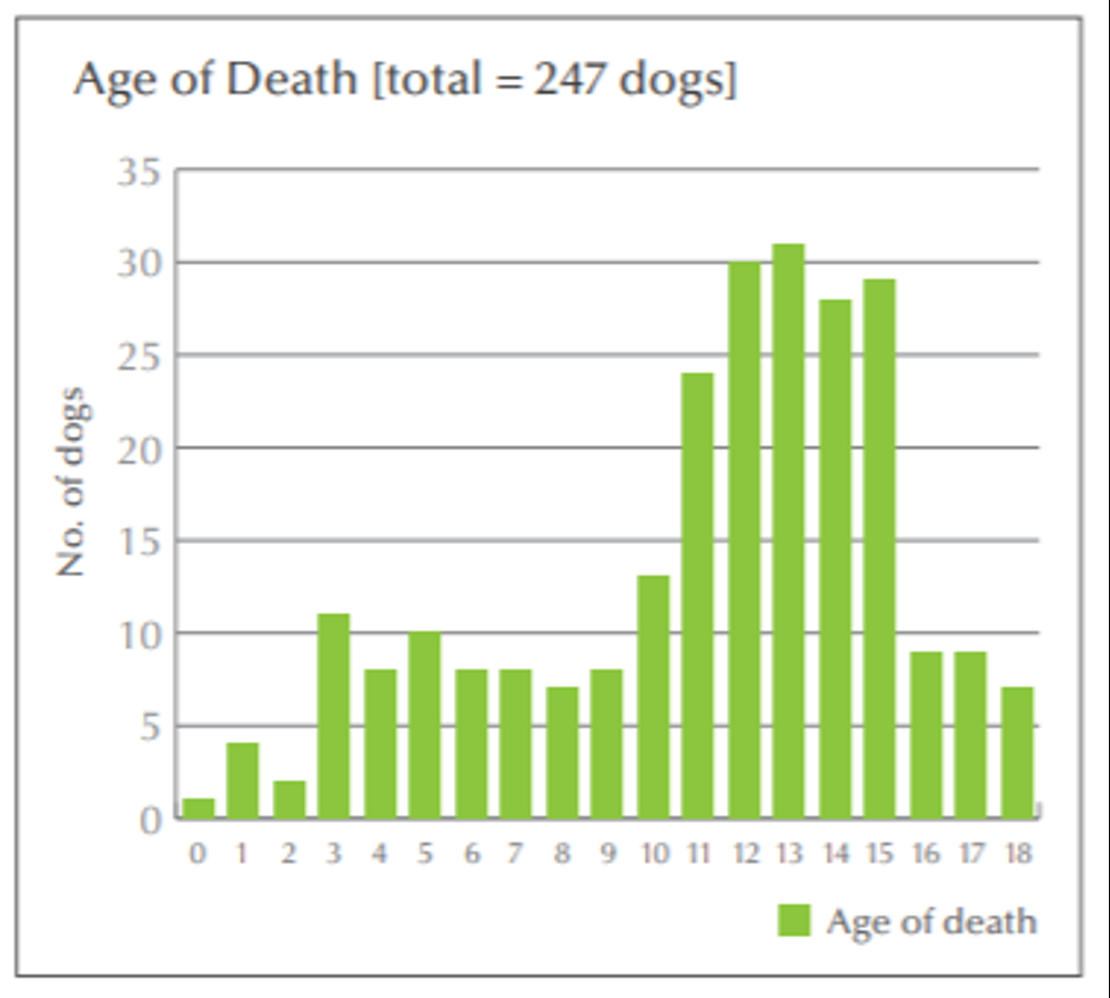 Histogram chart example