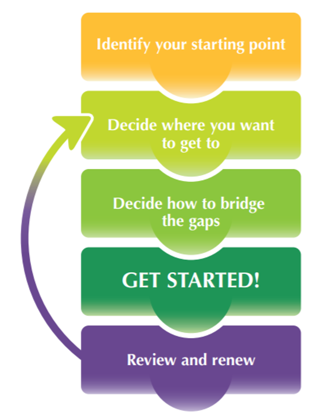 Breed health improvement strategy - diagram
