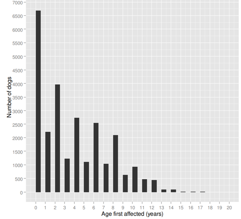 Chart showing age of diagnosis