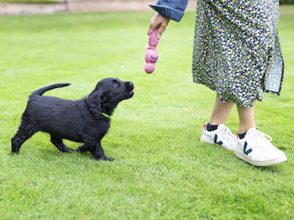 Woman playing with her dog outside