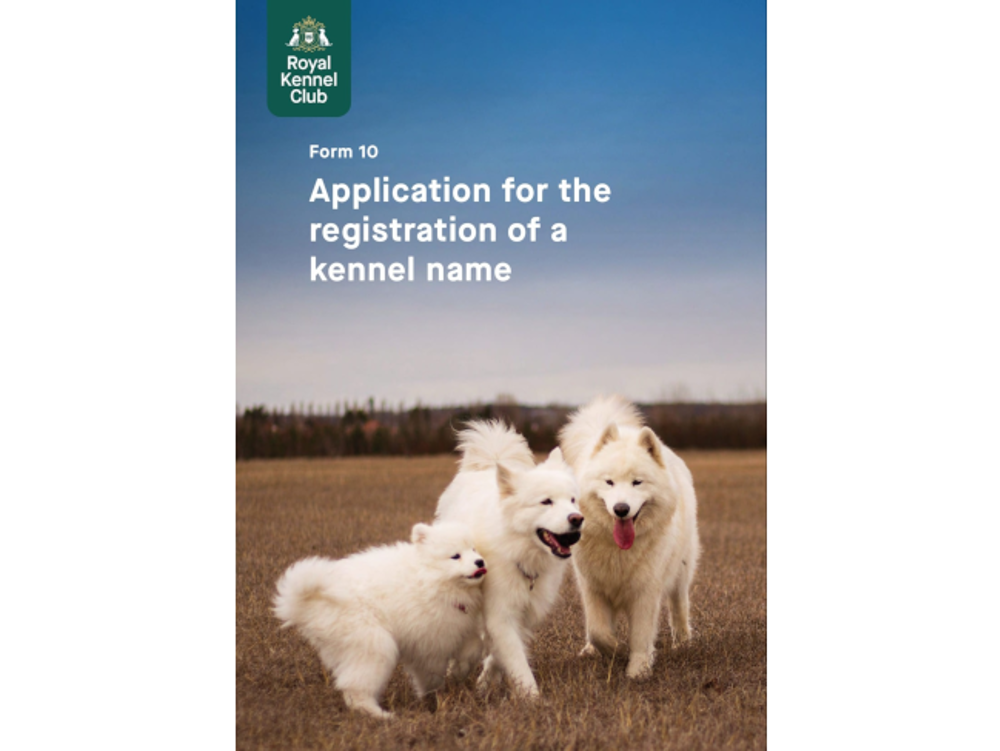 Umbraco.Cms.Infrastructure.PublishedCache.Property