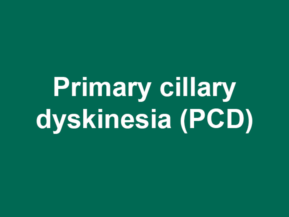 Umbraco.Cms.Infrastructure.PublishedCache.Property