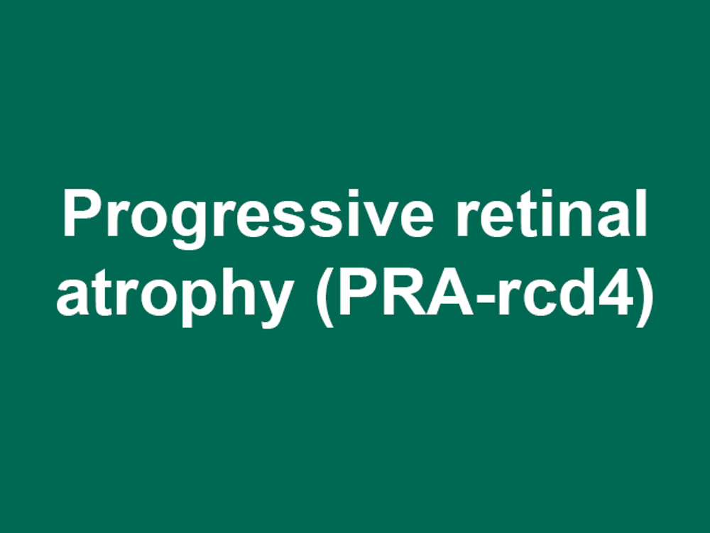 Umbraco.Cms.Infrastructure.PublishedCache.Property