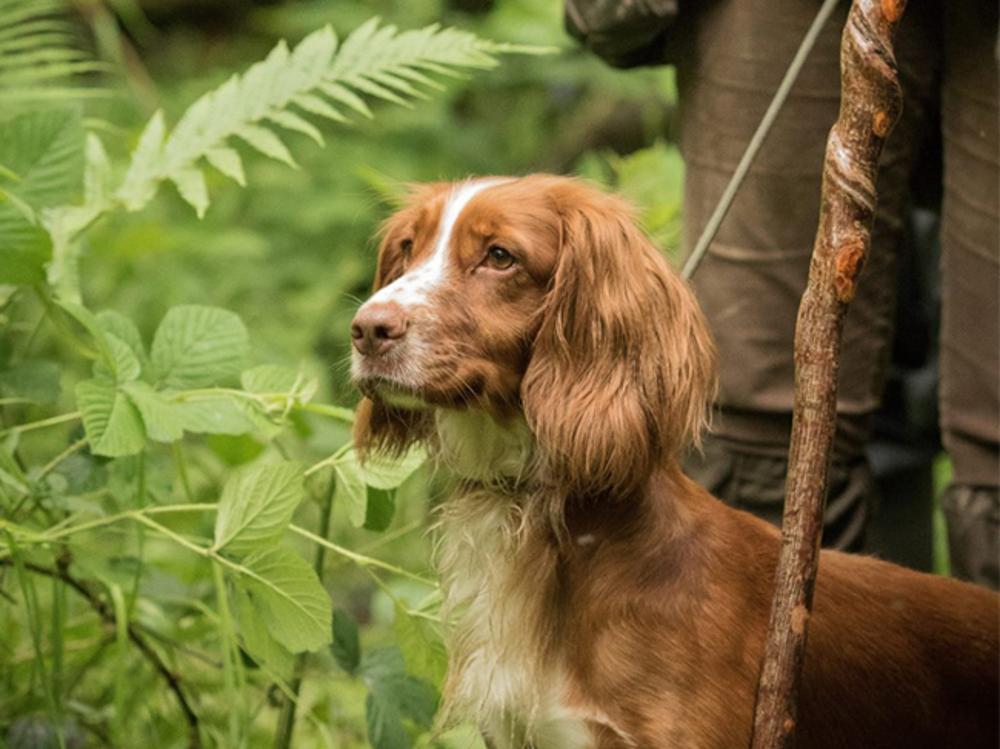 Umbraco.Cms.Infrastructure.PublishedCache.Property