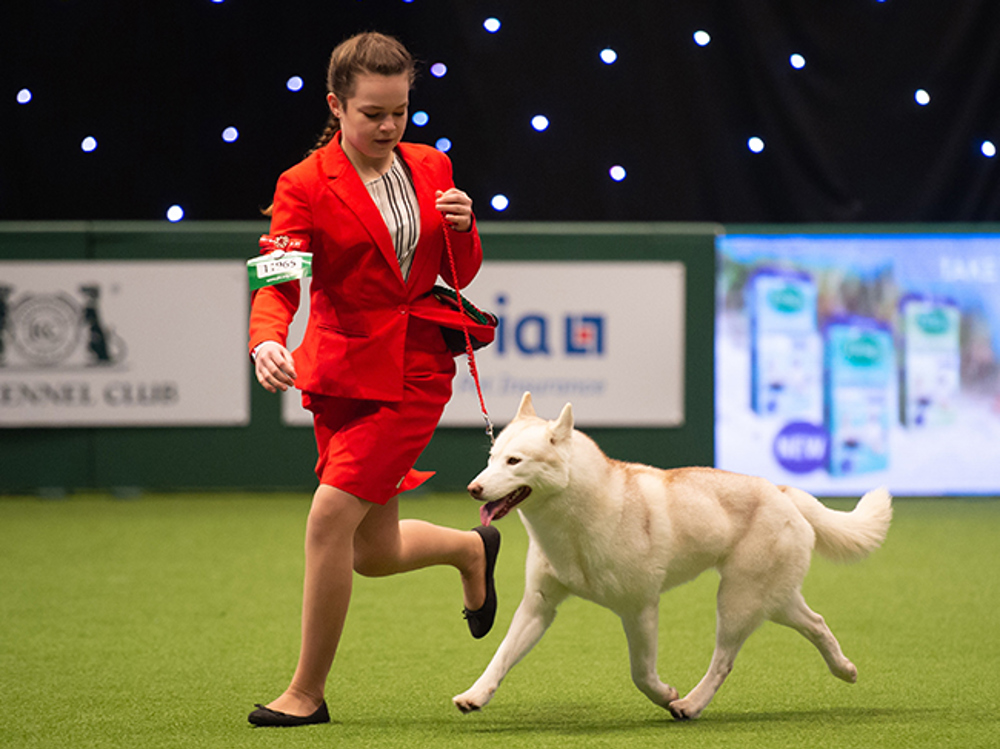 Umbraco.Cms.Infrastructure.PublishedCache.Property