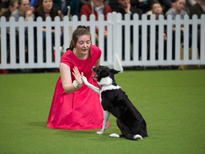 YKC member doing high five during heelwork to music