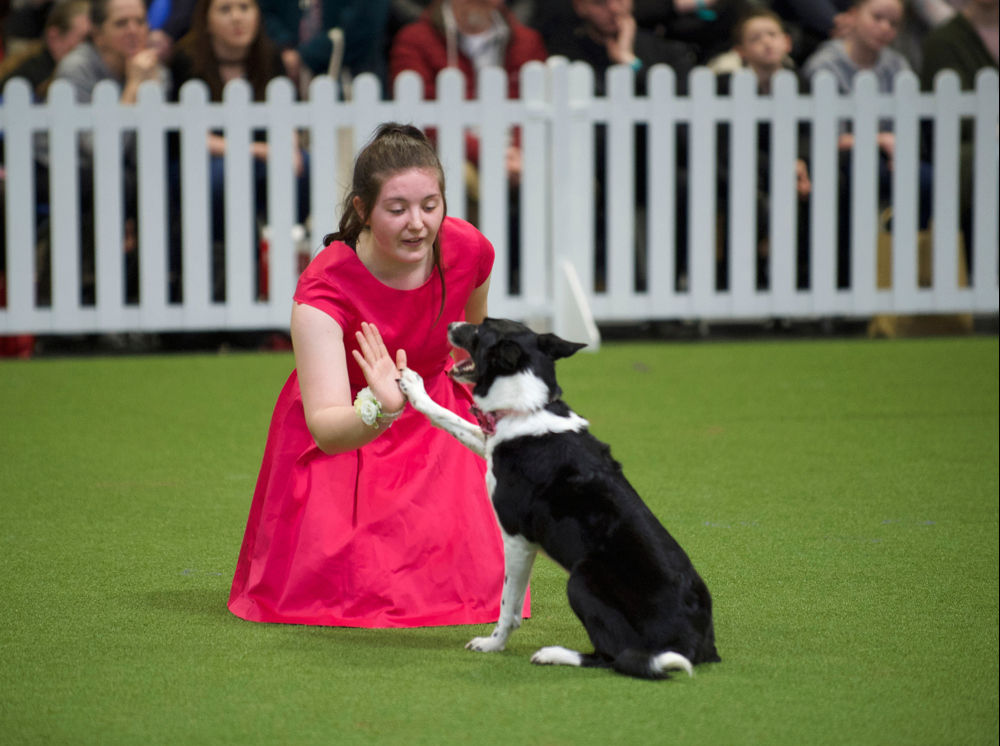 YKC member doing high five during heelwork to music