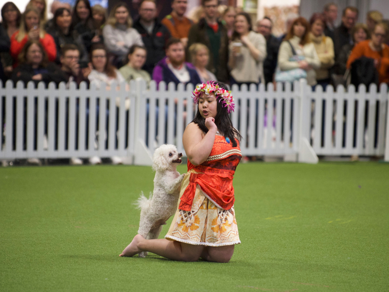 YKC member doing Heelwork to music