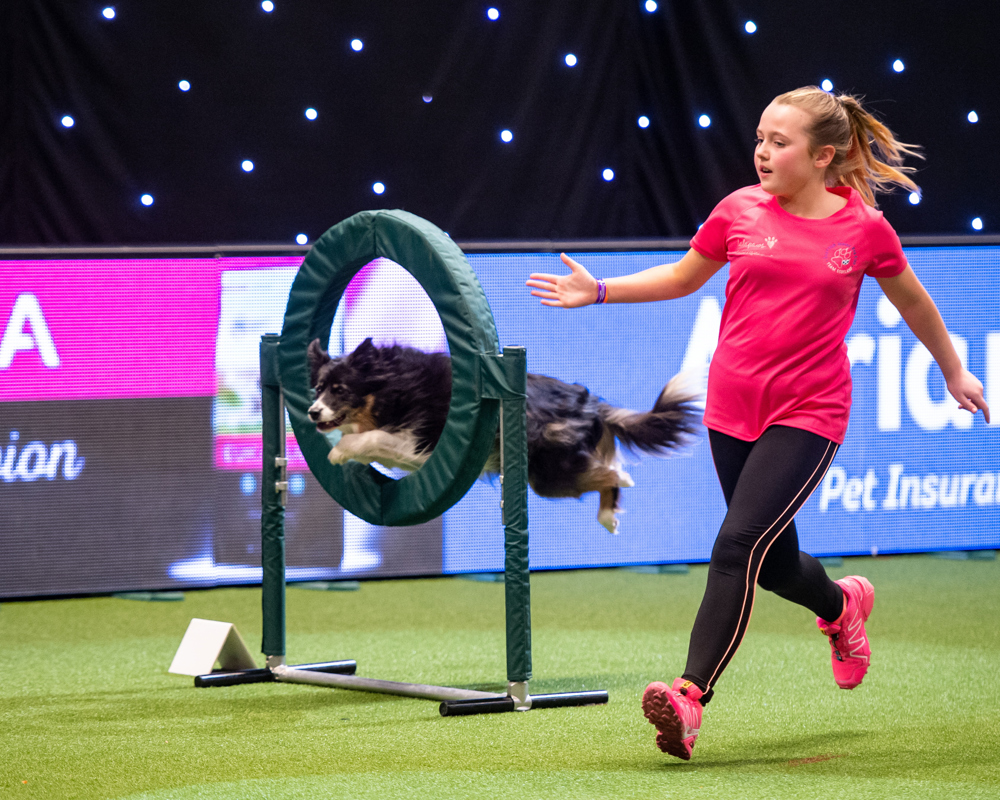 YKC member doing agility