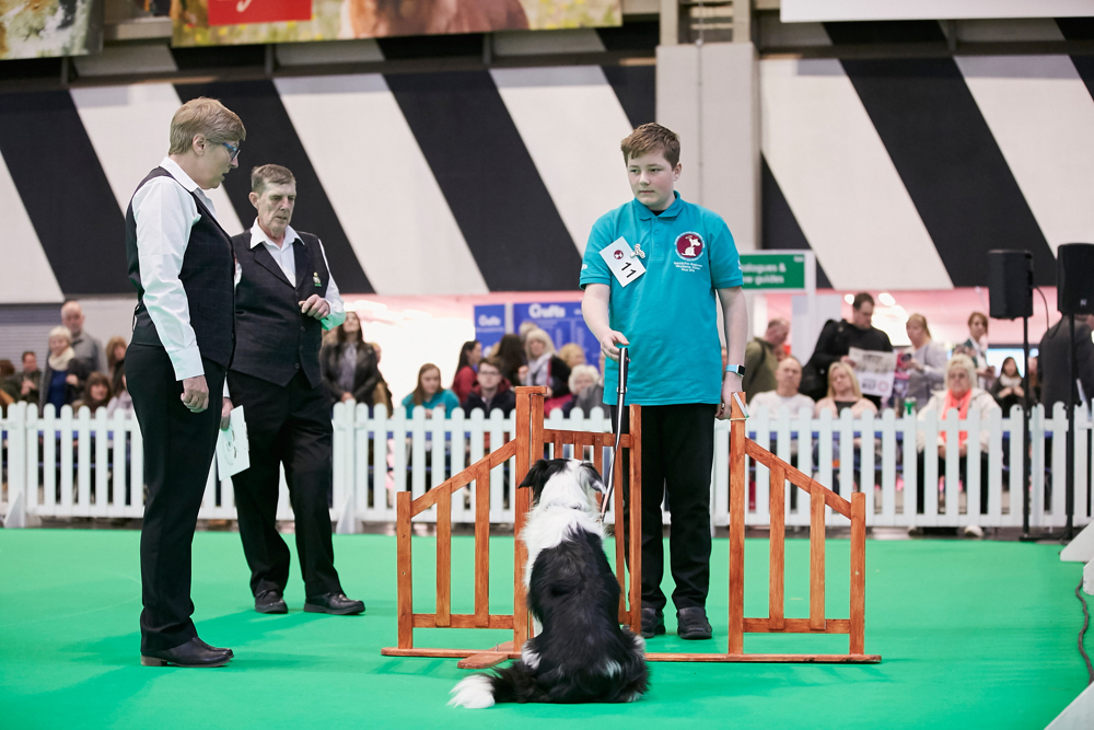 YKC member telling their dog to wait