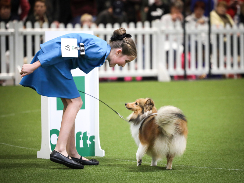 YKC member happy showing their dog