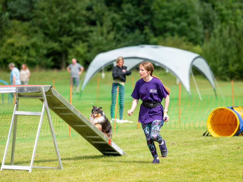 YKC member taking part in agility