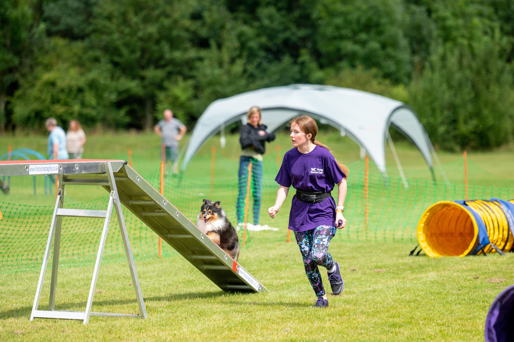 YKC member taking part in agility