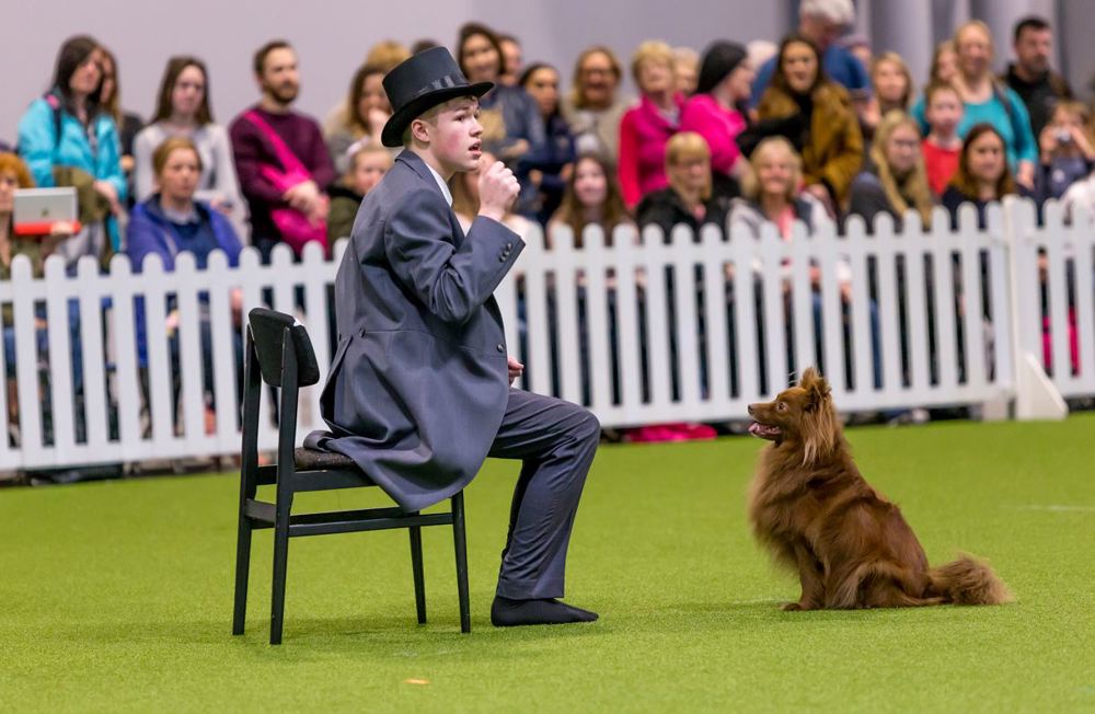 YKC member competing in heelwork to music