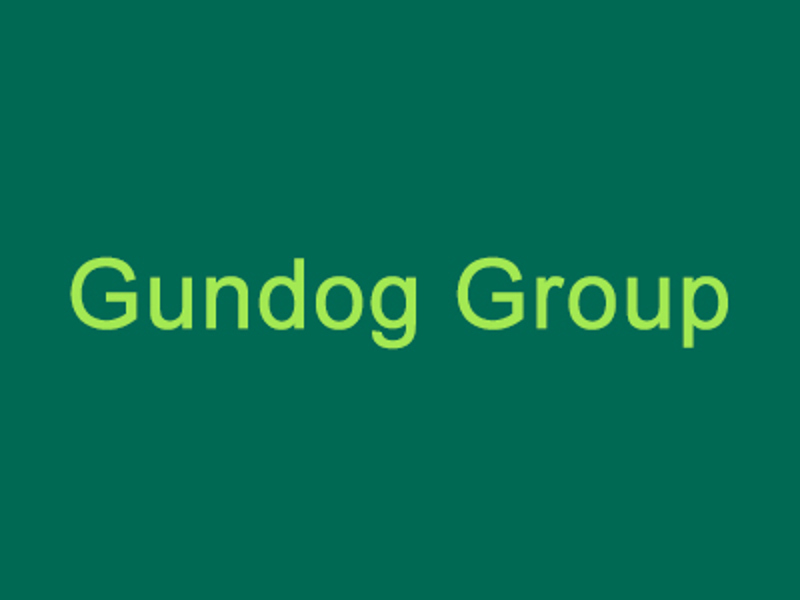 Gundog group graphic