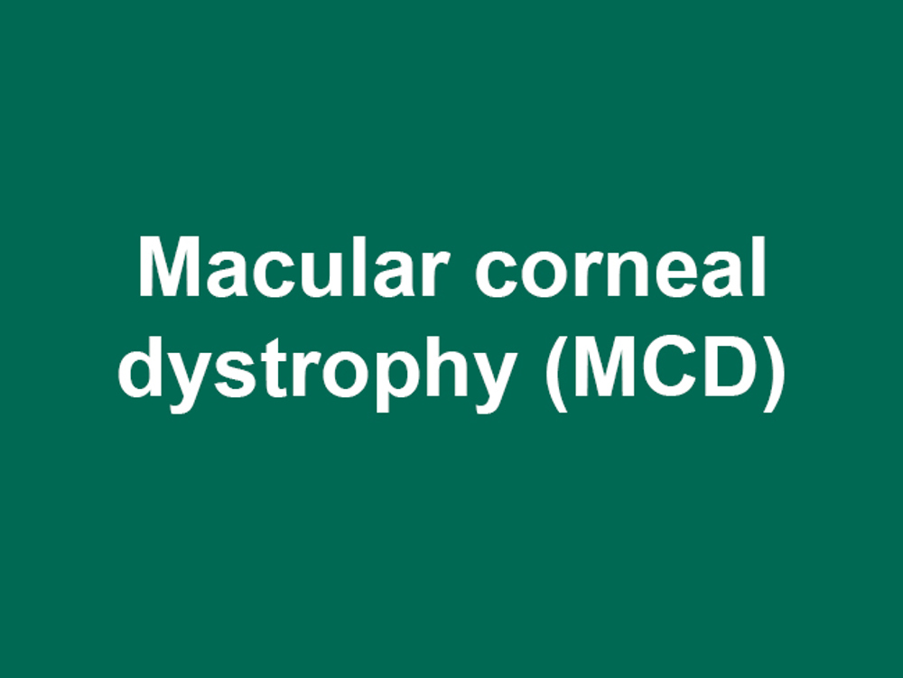 Umbraco.Cms.Infrastructure.PublishedCache.Property