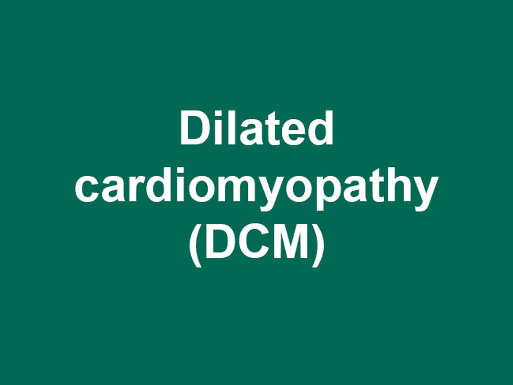 Umbraco.Cms.Infrastructure.PublishedCache.Property