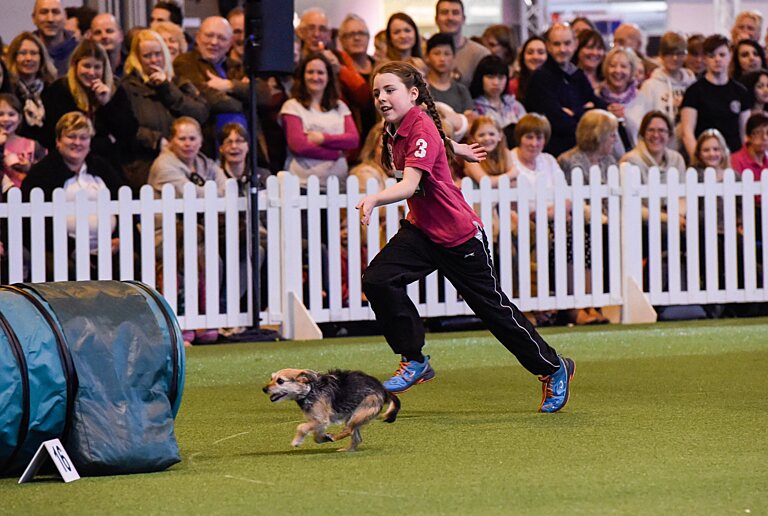 Umbraco.Cms.Infrastructure.PublishedCache.Property