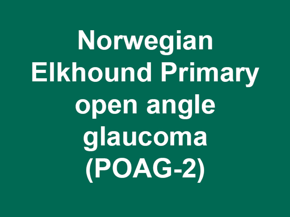 Umbraco.Cms.Infrastructure.PublishedCache.Property