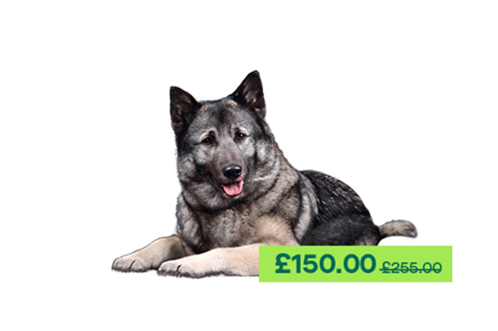 Umbraco.Cms.Infrastructure.PublishedCache.Property